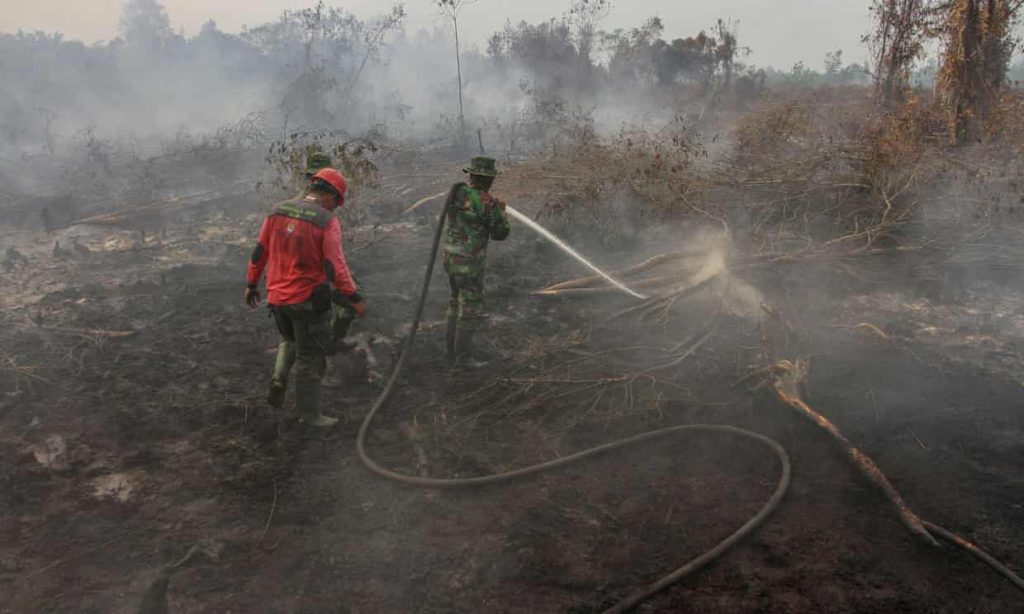 Kebakaran Hutan Di Indonesia