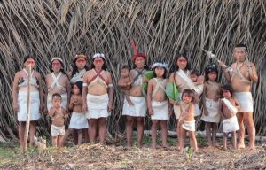 Fakta Tersembunyi Dari Hutan Amazon