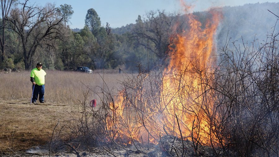Pengelolaan Hutan Telah Memicu Kebakaran Hutan Barat