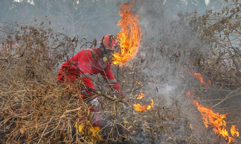 Kebakaran Hutan Di Indonesia1