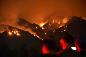 Bagaimana Kebakaran Hutan Mempengaruhi Perubahan Iklim