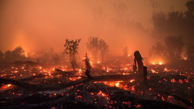 Krisis Kebakaran Hutan Terparah di Indonesia